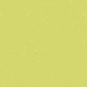 Линолеум FORBO Sarlon Colour 19dB 4818T4319 lime stardust фото ##numphoto## | FLOORDEALER